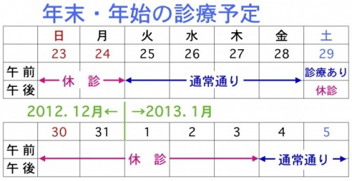 “年末・年始の診療予定2012-13 東成区 皮膚科 ふじい皮ふ科 大阪市